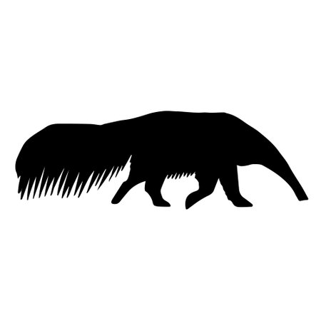 Vector hand drawn anteater silhouetteのイラスト素材
