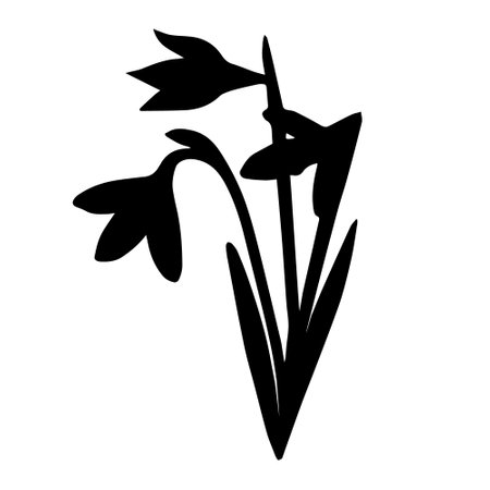 Vector hand drawn snowdrops flower silhouetteのイラスト素材