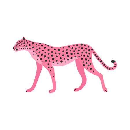 Vector flat hand drawn pink cheetahのイラスト素材
