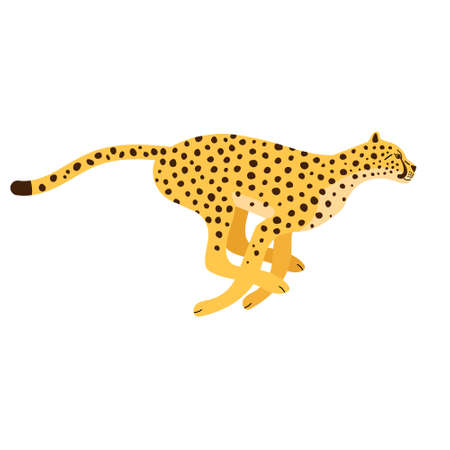 Vector flat hand drawn running cheetahのイラスト素材