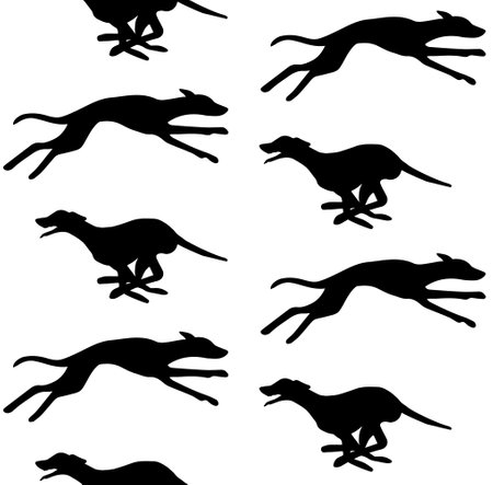 Vector seamless pattern of whippet dog silhouetteのイラスト素材