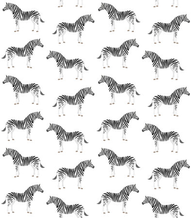 Vector seamless pattern of flat zebraのイラスト素材