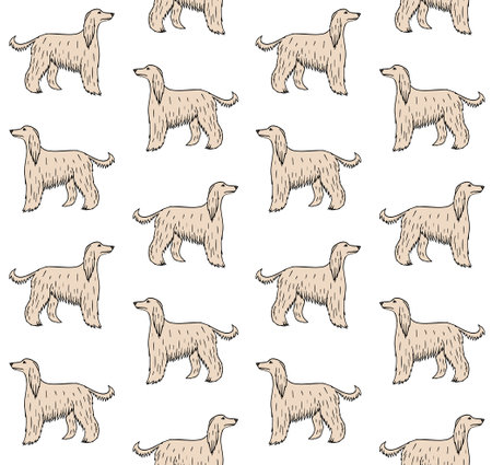 Vector seamless pattern of Afghan hound dogのイラスト素材