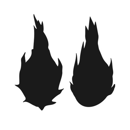 Vector hand drawn dragon fruit silhouetteのイラスト素材