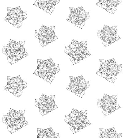 Vector seamless pattern of hand drawn cabbageのイラスト素材