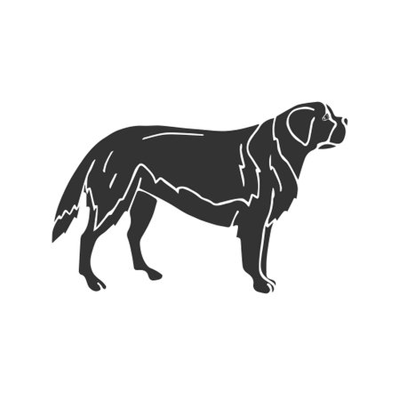 Vector hand drawn doodle sketch Saint Bernard dogのイラスト素材
