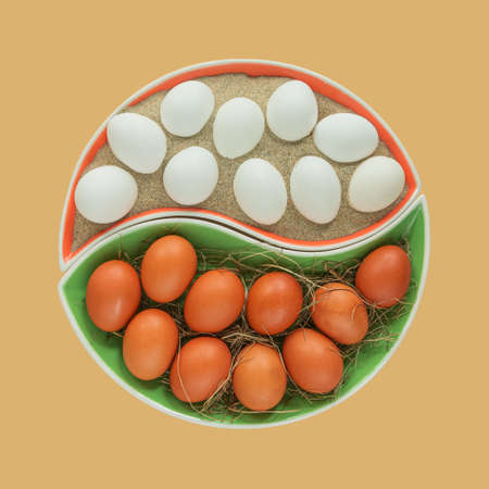 Green plate with hay and red fresh chicken eggs, red plate with sand and chicken eggs on a yellow background. Simulation of natural conditions of egg incubation. Harmony.の写真素材
