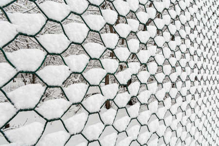 A fragment of a metal fence, consisting of a chain-link mesh, on which snow adhered.の写真素材