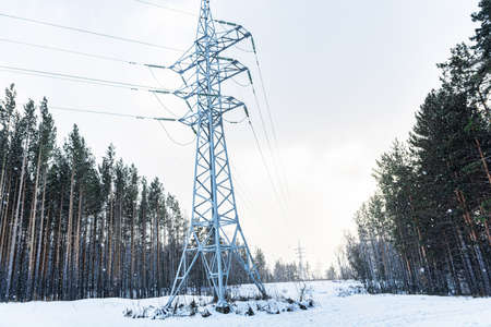 High voltage power line support in winter forest.の写真素材