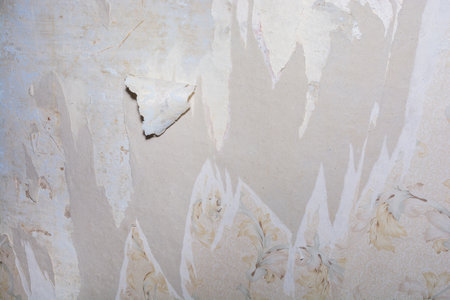 Background, consisting of a gray dilapidated wall, with scraps of wallpaper. DIY repair.の写真素材