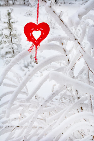Red valentine on the background of a winter landscape.の写真素材