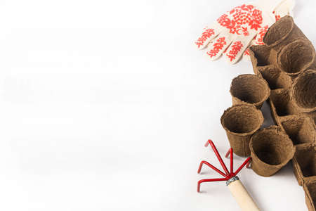 Peat containers for growing seedlings at home. There is a place for text.の写真素材