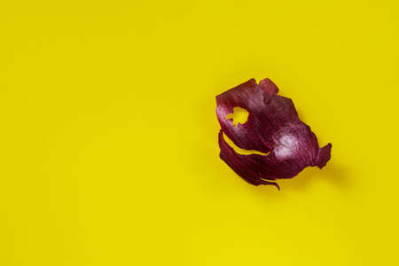 Creative background for advertising. The peel of a red onion in the form of an animal on a yellow background.の写真素材