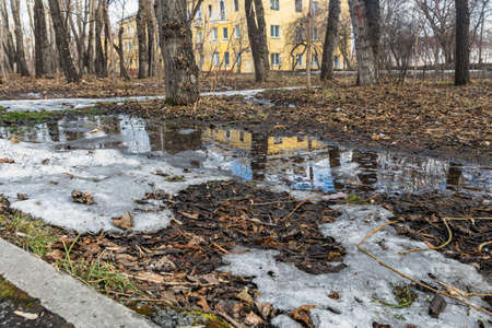 A huge puddle, melting snow, last year's leaves in the park in spring.の写真素材