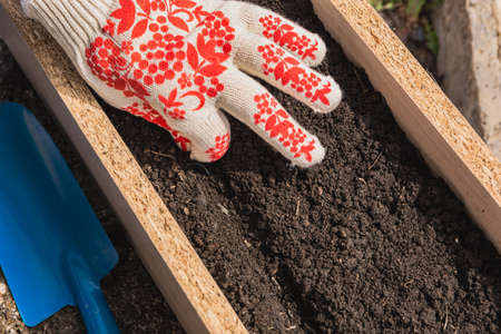 The grower makes a groove in the soil to plant flowers. Spring or summer garden work.