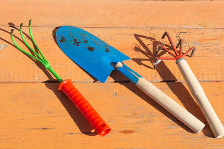 A set of small gardening tools, including a rake and a shovel, lie on a bench in the garden.の写真素材