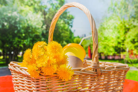 Summer bouquet of yellow dandelions and a yellow cup of coffee lie in a wicker basket. Summer day in the park outdoors.の写真素材