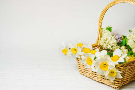 Spring bouquet of daffodils, branches of blossoming mountain ash and lilacs in a wicker basket....