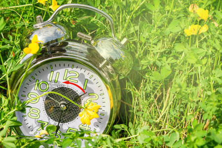 An alarm clock lies in the grass with flowers. Daylight saving time concept.の写真素材