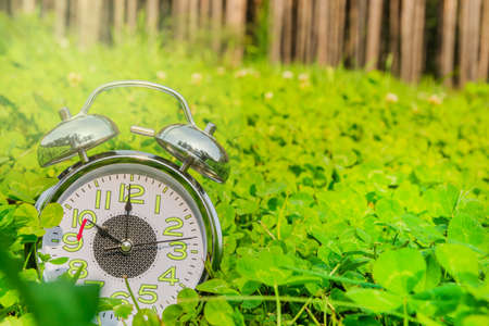 A large alarm clock lies in the green grass. The forest is in the distance. Daylight saving time...
