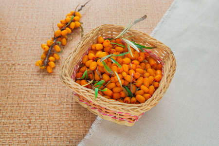 Ripe sea buckthorn. Fresh berries are in a wicker basket.の写真素材