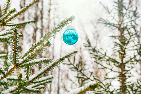 A blue ball hangs on a snow-covered spruce branch in a winter city. Christmas and New Year concept.の写真素材
