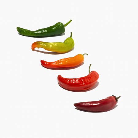 Multicolored hot chili peppers on a white isolated background.