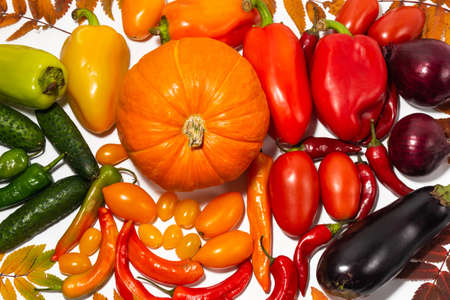 Pumpkin and a set of multi-colored vegetables and dry leaves on a white background. Flat lay.の写真素材