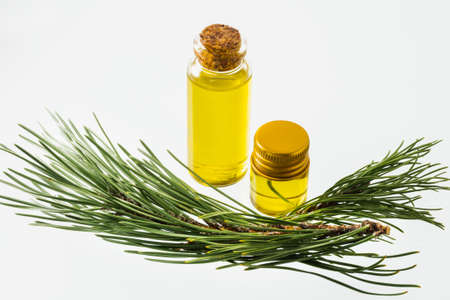 Fragrant extract of fir or pine oil in a glass vessel and a branch of fir or spruce on a white background. Isolated.の写真素材