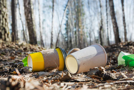Household garbage left in the forest by tourists. Coffee paper cups, crumpled sheets of paper are...