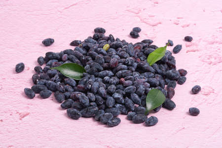 A bunch of fresh blue honeysuckle with green leaves on a pink background.の写真素材