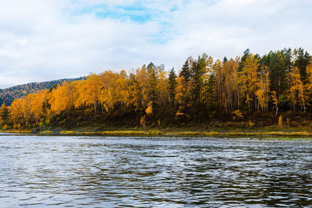 beautiful autumn landscape. Trees with yellow leaves on the banks of the river in a natural park.の写真素材
