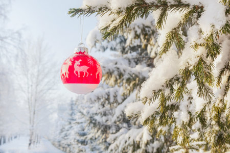 Snow-covered spruce in the forest. The pine trees in the park are covered with snow. Beautiful winter landscape. A red ball hangs on a branch. Amazing Christmas scene.の写真素材