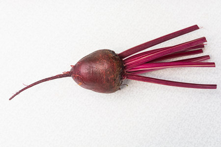Fresh, young beets with tops on a white background.の写真素材