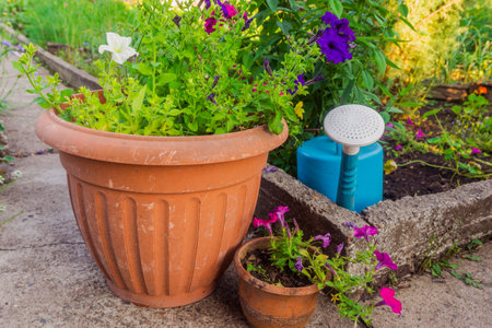 A nice corner in an old garden with flowers in pots, vegetables and a watering can. Fragment of landscape design with flowers in a summer garden. Garden composition.の写真素材