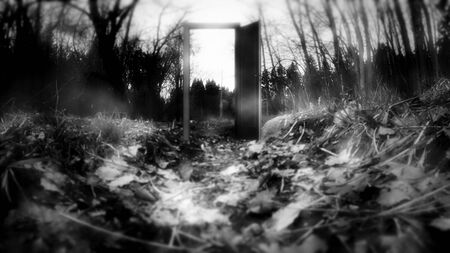 Mysterious forest, the door to nowhere. The door in the Woods, mystery.の写真素材