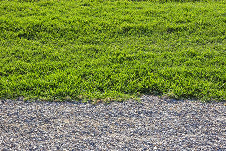 A background of gravel and green grass.の写真素材