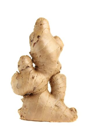 Fresh ginger, isolated on a white background.の写真素材
