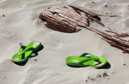 Green flip flops on th beach with driftwoodの写真素材