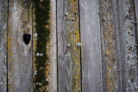 old fenceの写真素材