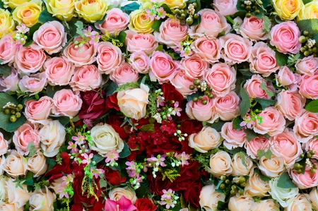 Beautiful spring flowers のeditorial素材