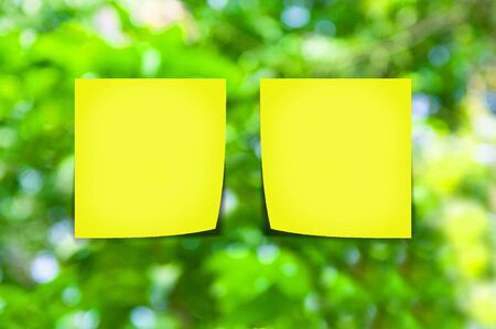 yellow memo stick on green backgroundの写真素材
