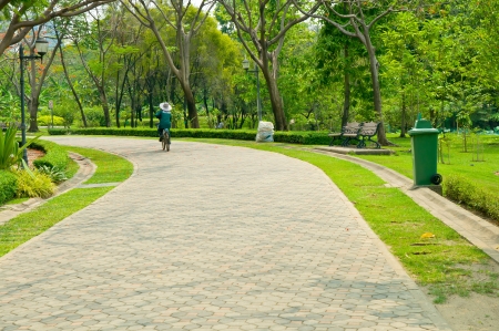Landscaping in the garden  The path in the garden  の写真素材