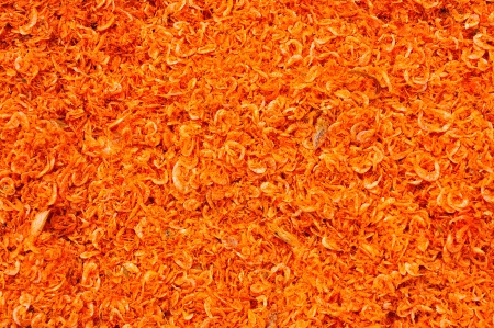 Small dried shrimpの写真素材
