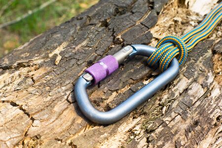 Carabiner on the tree