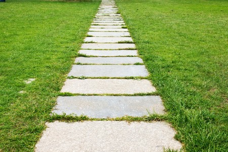 footpath on th green grass in the park