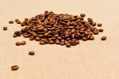 coffee grains on the burlapの写真素材