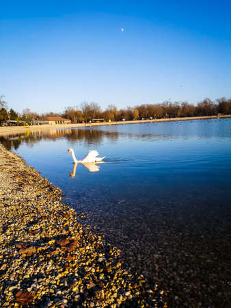 Croatia Zagreb Jarun Lake Landscapeの写真素材