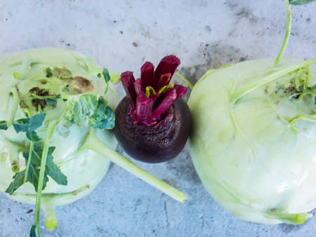 Healthy Beet Kohlrabi Closeup Macroの写真素材