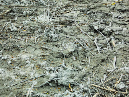 Mud Dirt Background Wallpaper Patternの写真素材